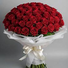 Букет 101 Красная роза Блэк Мэджик #REPLACE_PRED# Озинках