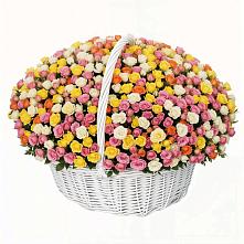 Премиум букет из: Розы в Озинках