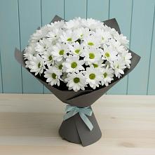Букет цветов из:  Хризантемы в Озинках