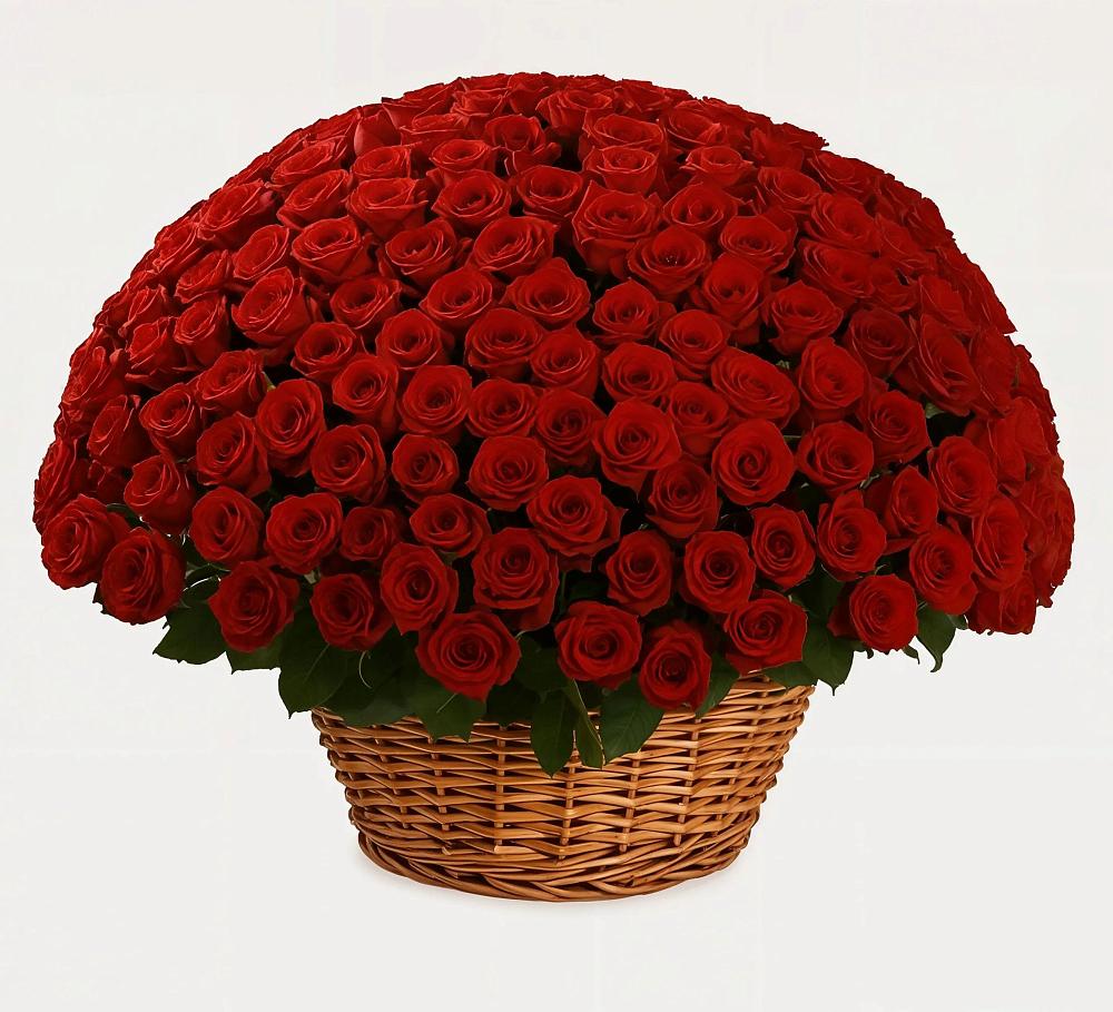 Премиум букет из: Розы в Озинках