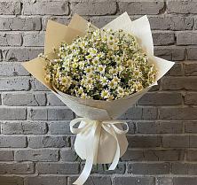 Букет цветов из:  Ромашки в Озинках