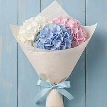 Букет цветов из:  Гортензия в Озинках