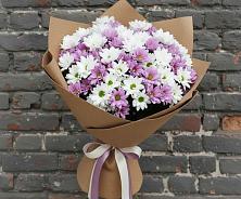 Букет цветов из:  Хризантемы в Озинках