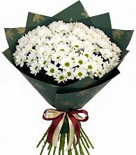 Букет цветов из:  Хризантемы в Озинках