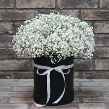 Цветочная композиция из Гипсофила в шляпной коробке в Озинках