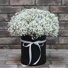 Цветочная композиция из Гипсофила в шляпной коробке в Озинках