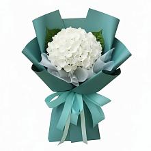 Букет цветов из:  Гортензия в Озинках